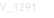 V_1291