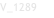 V_1289